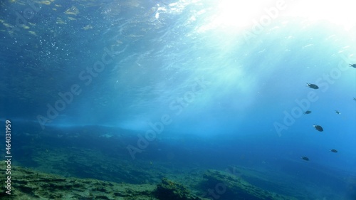 Underwater photo of sunlight in the ocean. From a scuba dive at the Canary islands in the Atlantic ocean - Spain.
