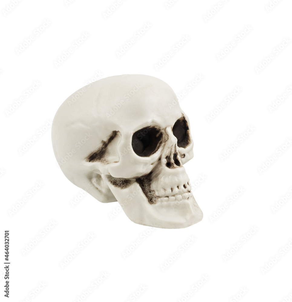 Fototapeta premium Artificial decorative skull for the Halloween decoration isolated