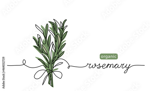 Rosemary simple vector sketch drawing. One continuous line art drawing illustration for label design with lettering rosemary