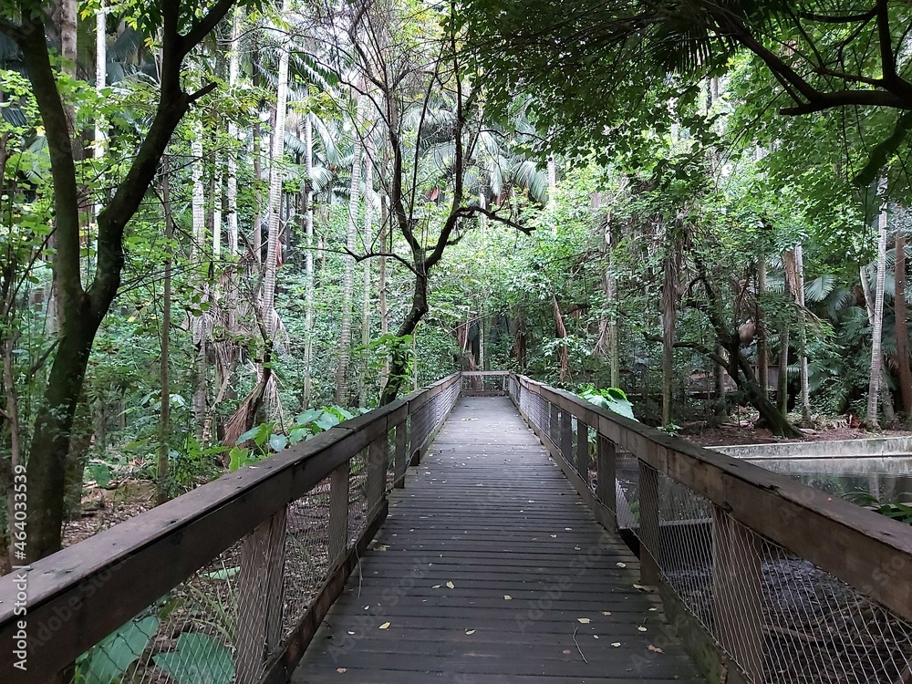 Obraz premium Trees and Flowers