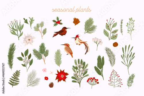 Collection of winter plants, flower, branch. Perfect for Merry Christmas, Happy New Year, holidays, invitation and greeting card. Editable vector illustration.