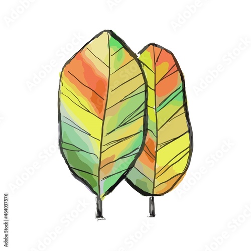 Autumn tree on a white background.