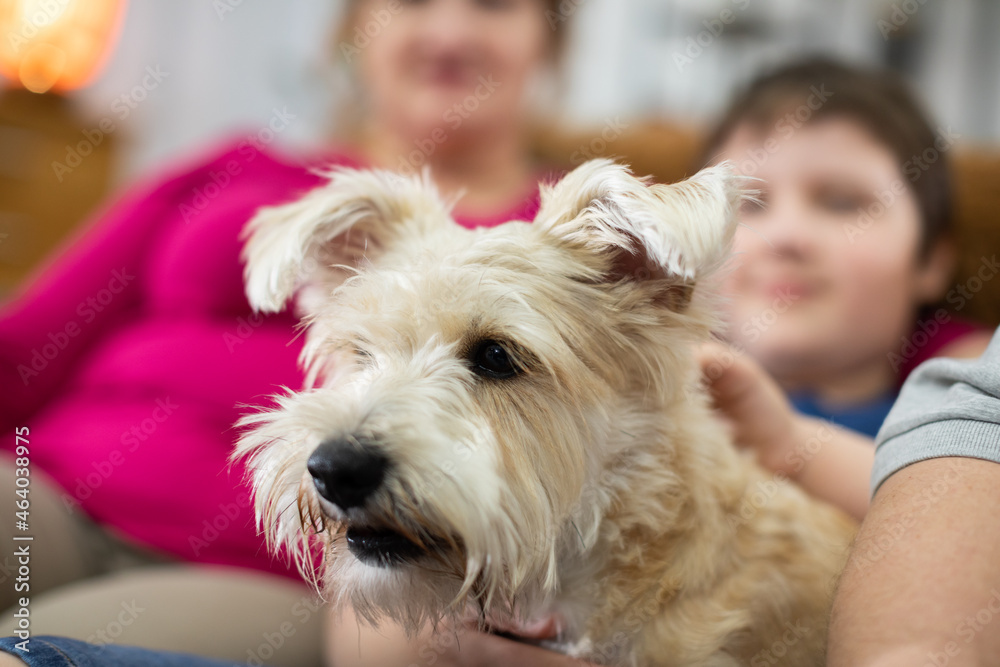 The dog in the foreground and the people in the background, the son and the mother. The dog in the foreground and the people in the background, the son and the mother.
