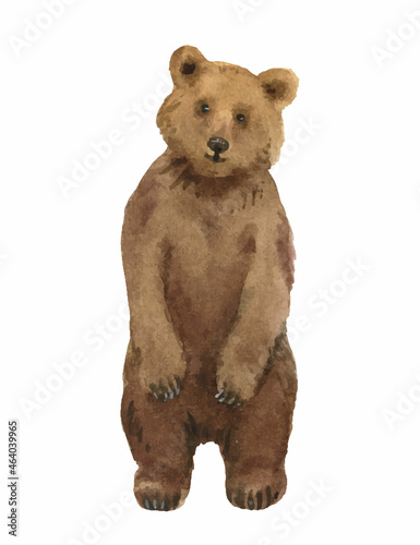 Watercolor vector illustration with a bear isolated on a white background.