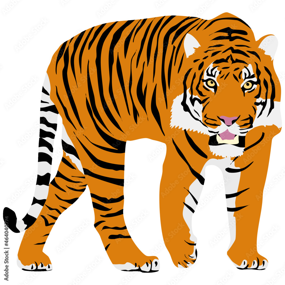 Big bengal tiger standing on the ground, facing front, looking majestic in its orange and white fur coat with black stripes.