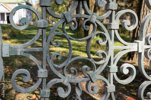 wrought iron gate to the estate with a floral pattern