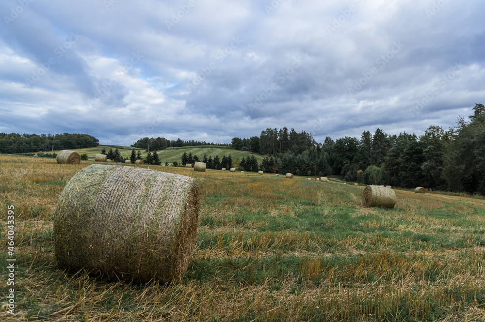 Hay bales in the field with cloudy sky. Czech landscape.