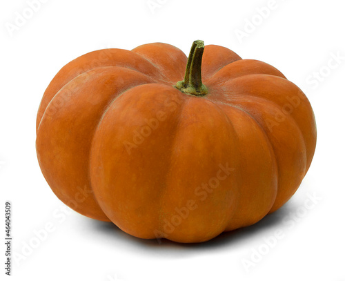 Ripe orange pumpkin on white background. Growing pumpkin. Pumpkin is an autumn food.