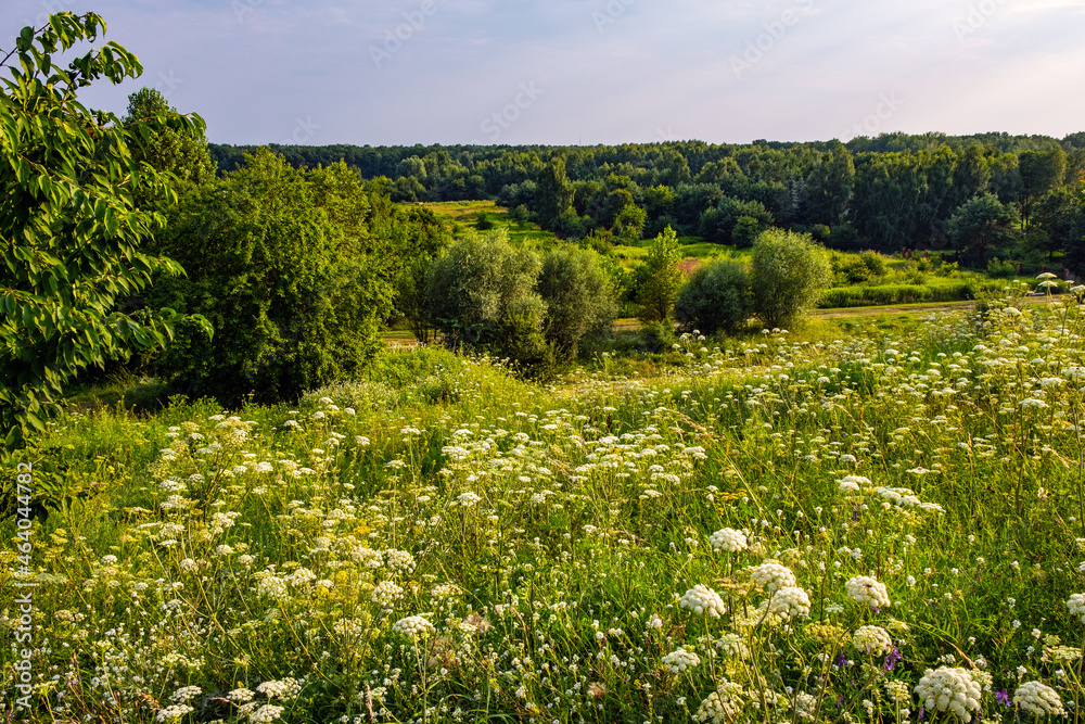 Obraz premium Panoramic view of Las Kabacki Forest reserve seen from Gorka Kazurka hill in Kabaty district of Warsaw in central Poland