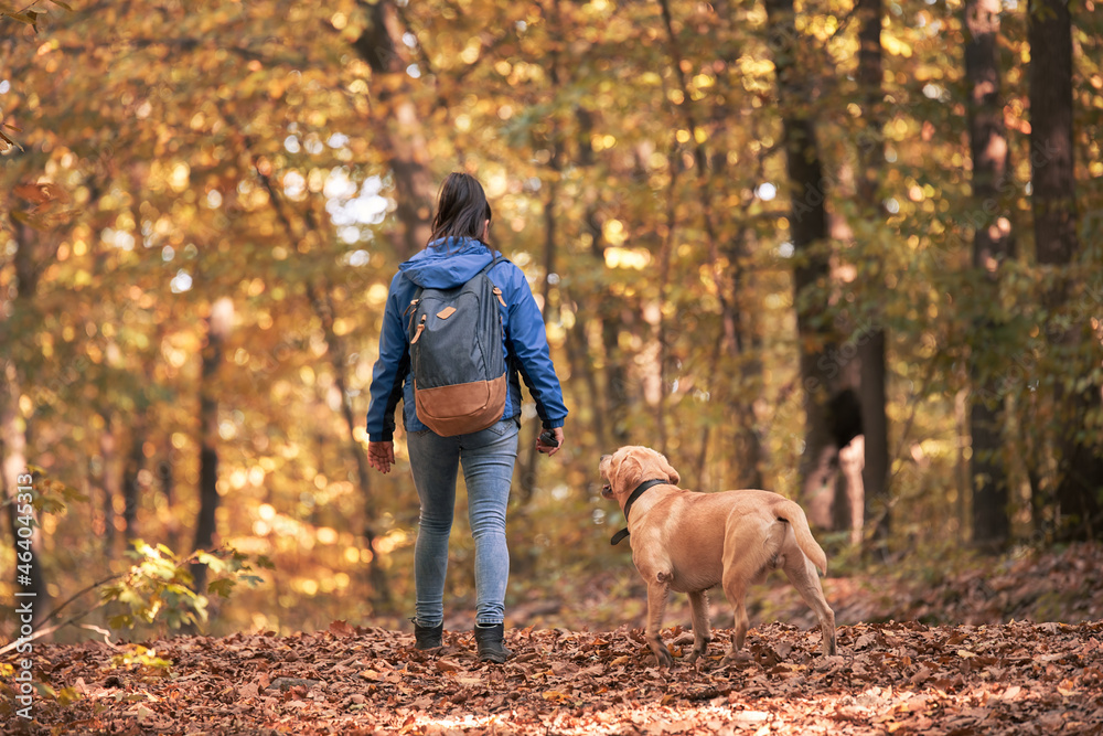 Woman and her dog walking in autumn forest Woman and her dog walking in autumn forest