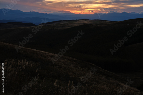 日没時間の黄金色に光るススキの生えた丘から見る夕日