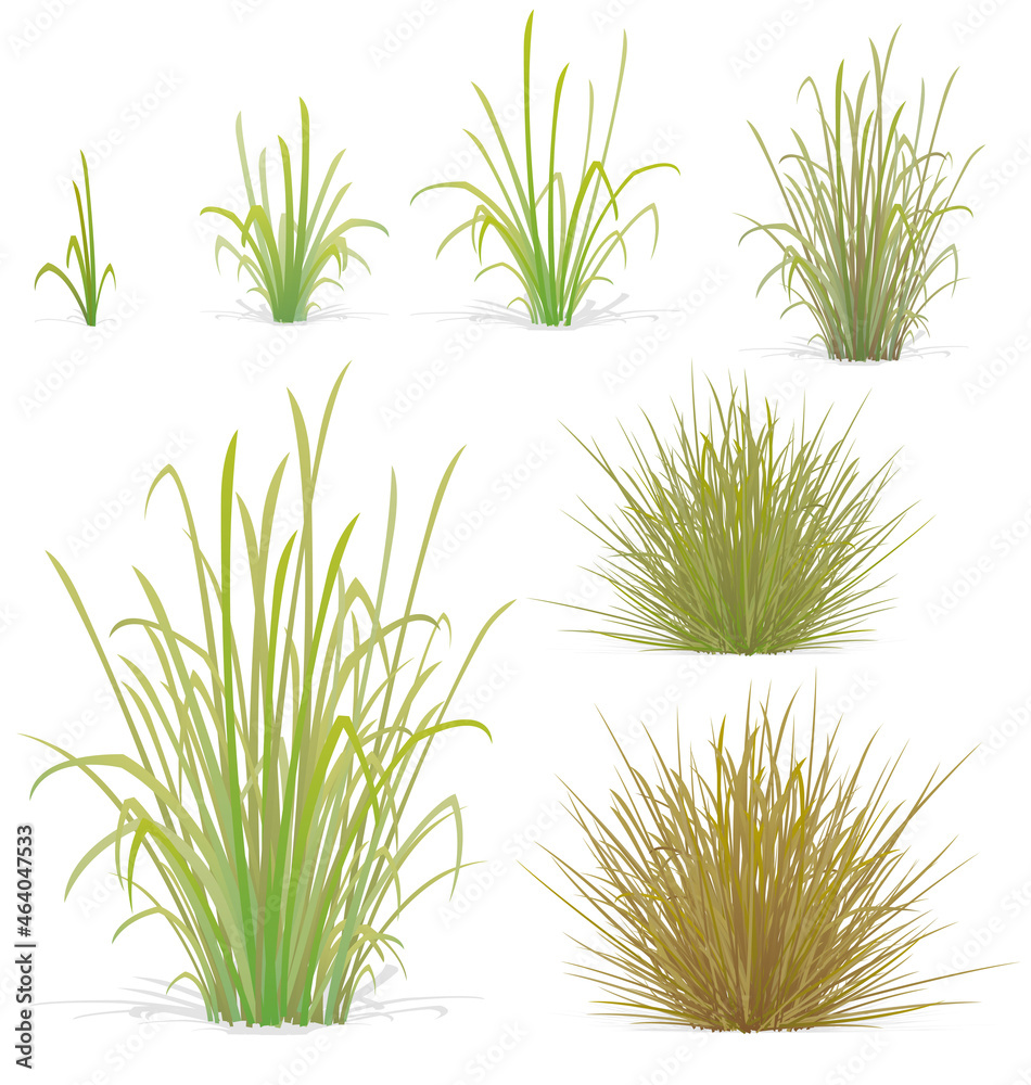 various tufts of grass elements
