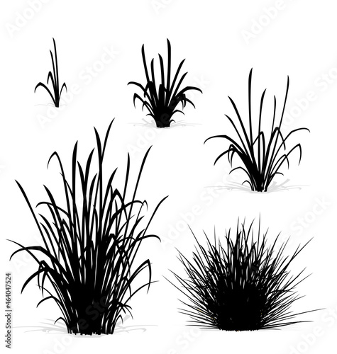 various tufts grass elements silhouettes