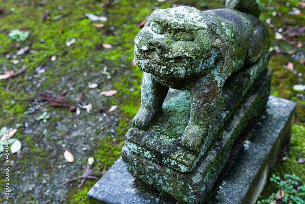 横須賀、諏訪大神社の狛犬