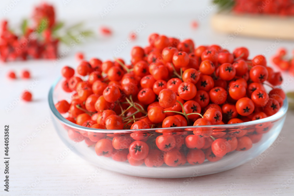 Fresh ripe rowan berries in glass bowl on white wooden table, closeup Fresh ripe rowan berries in glass bowl on white wooden table, closeup