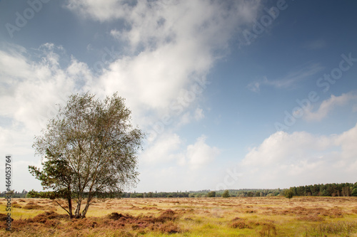 Country Walks in Norfolk