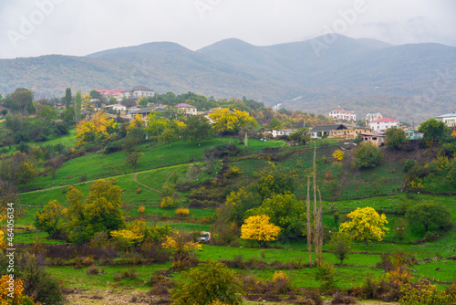 Fototapeta Naklejka Na Ścianę i Meble -  Yellow trees on a green meadow in the village