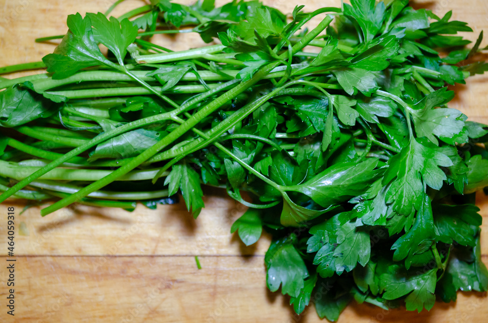 green parsley bundle on a wooden cutting board herb close up macro green parsley bundle on a wooden cutting board herb close up macro