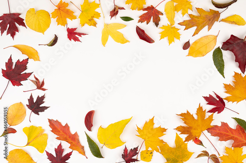 Colorful fallen leaves forming frame for promotion on white background, with copy space