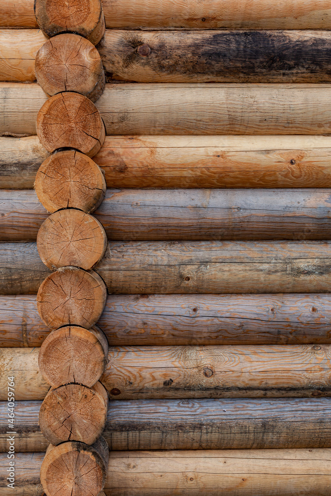 fragment of a log wall in a vertical view fragment of a log wall in a vertical view