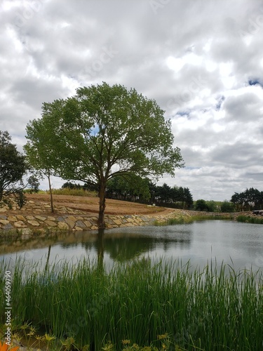 Eden's Garden in Portugal!