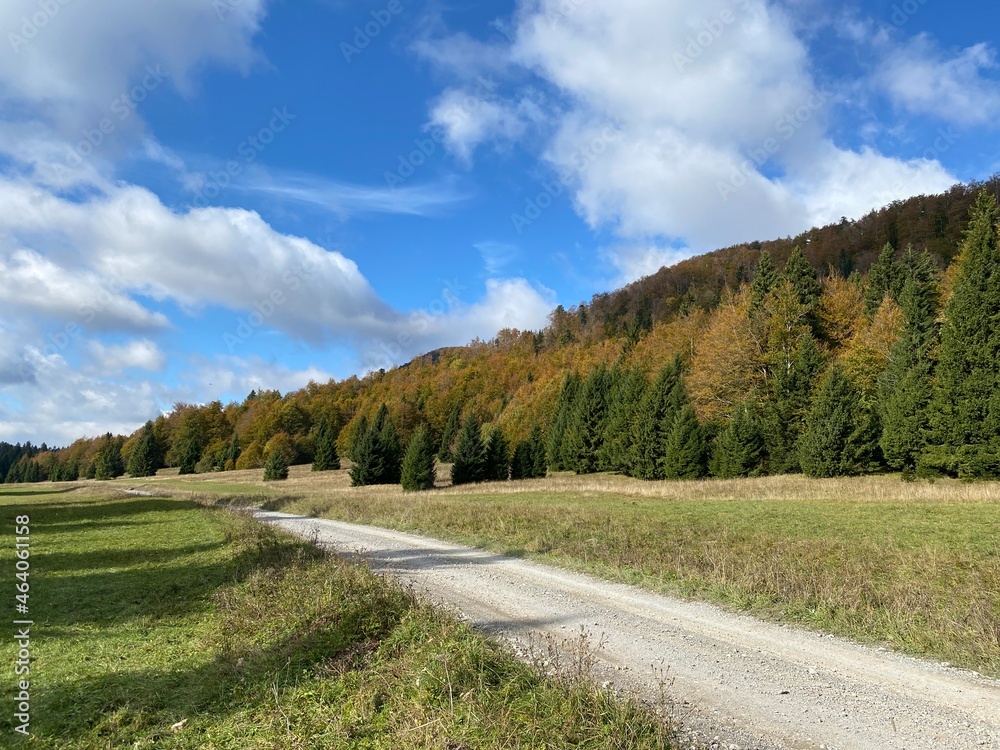 Beautiful forest road in Gorski kotar, Croatia in autumn