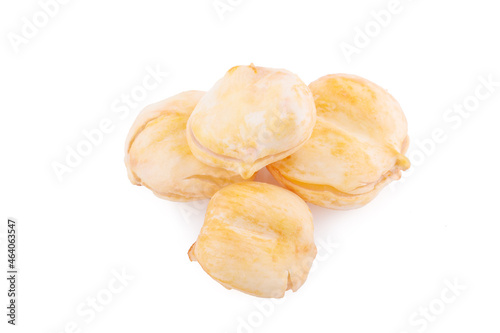 Toddy palm on isolated white background