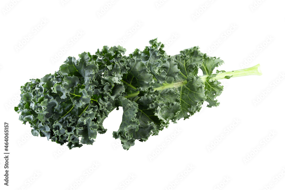 Fresh green leaves of Kale. Green vegetable leaves isolated on a white background. Fresh green leaves of Kale. Green vegetable leaves isolated on a white background.