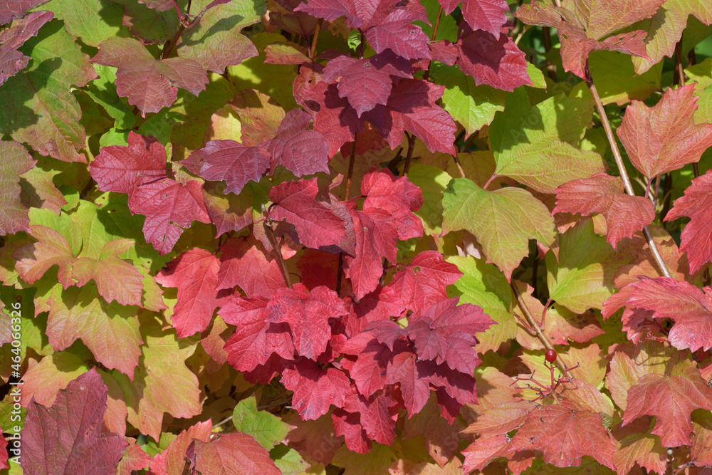 herbstfarben im park