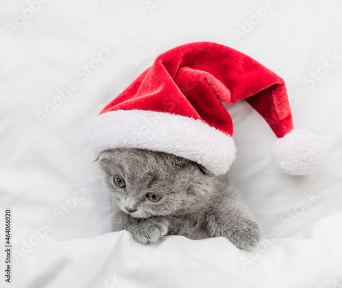 Cute kitten wearing red santa hat sleeps under a white blanket on a bed at home. Top down view