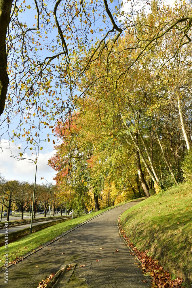 Beauté de l'automne le long d'un des chemin du parc Parmentier le long de l'avenue de Tervuren à Woluwe-St-Pierre 