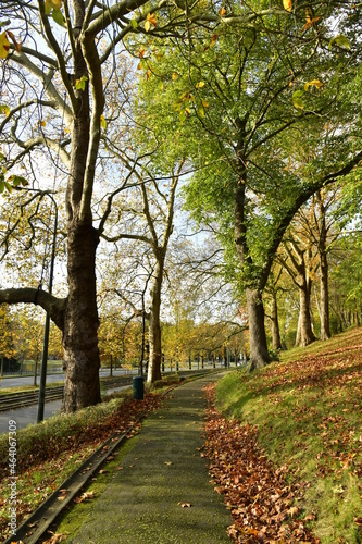 Fototapeta Naklejka Na Ścianę i Meble -  Beauté de l'automne le long d'un des chemin du parc Parmentier le long de l'avenue de Tervuren à Woluwe-St-Pierre 