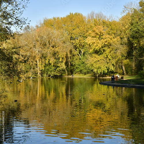 Beauté de l'automne de la végétation luxuriante le long de l'étang du parc Malou à Woluwe-St-Lambert 