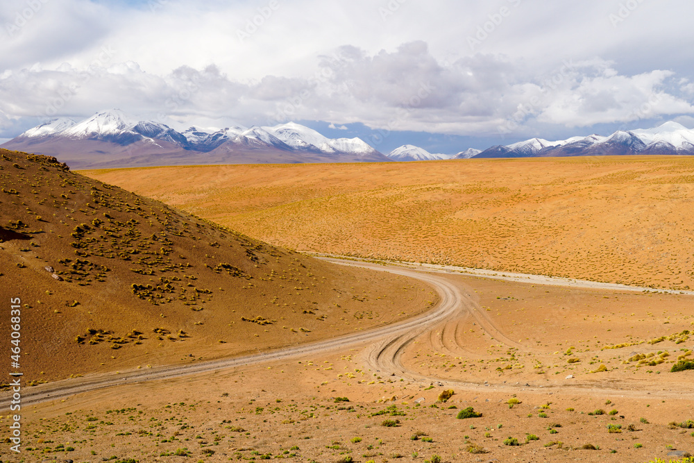 Desert view in Bolivia with snow capped volcano's in the background