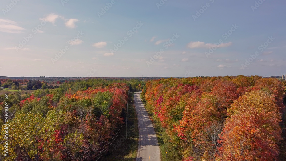 A aerial view of road enveloped by fall colors