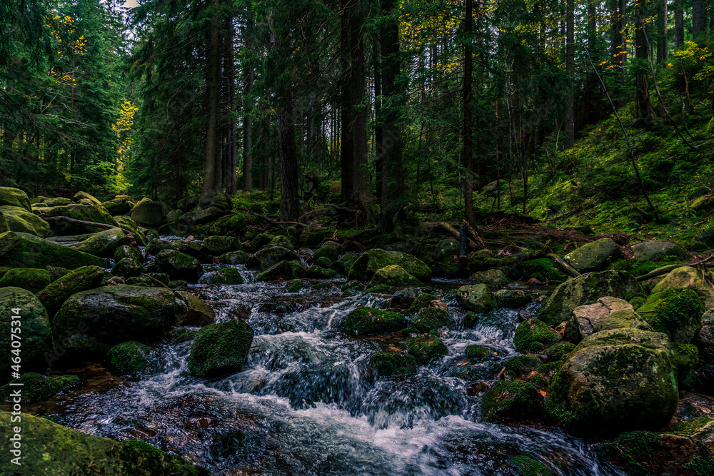 Mountain and forest small river. Mountain and forest small river.