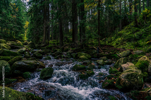 Mountain and forest small river.