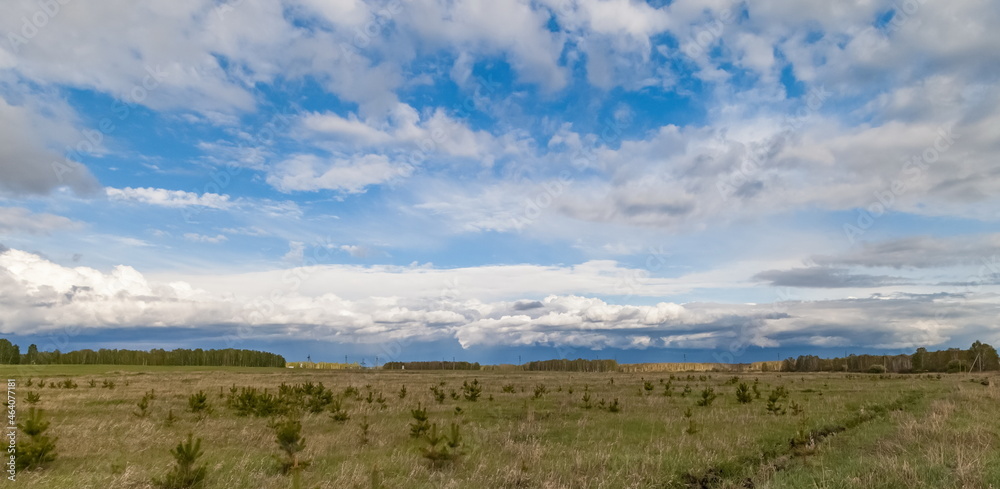Field, grass and trees in summer against a blue sky with white clouds Field, grass and trees in summer against a blue sky with white clouds