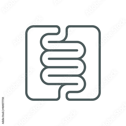 Intestine human organ icon. Intestine graphic sign isolated on white background. Digestive system symbol. Vector illustration