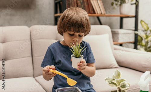 A Caucasian little boy is sitting on the sofa and sniffing an aloe plant in a pot