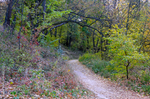 Autumn colorful landscape park