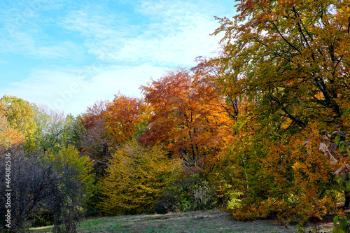 Autumn colorful landscape park