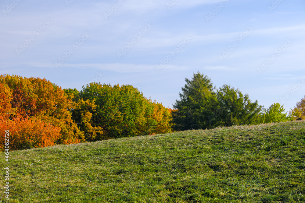 Natural picture of the colors of autumn