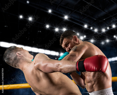 Box professional match © Andrey Burmakin