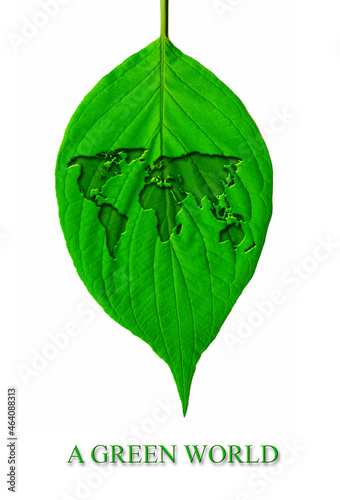 green leaf with a world map carved into it  Earth day  green world concept