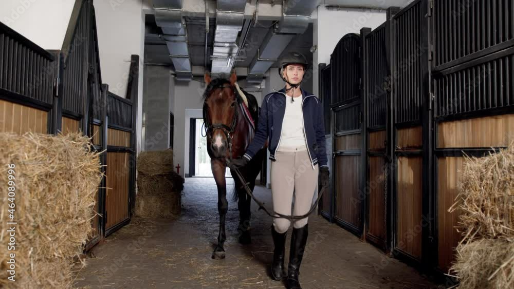 Full length view of the equestrian wearing helmet with saddle walking with her horse in a stable. Taking care of the horses and occupation concept Full length view of the equestrian wearing helmet with saddle walking with her horse in a stable. Taking care of the horses and occupation concept
