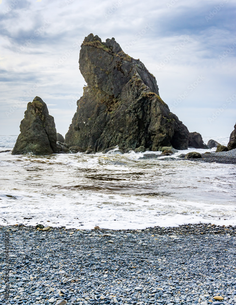 Ruby Beach Rock Monolith 5