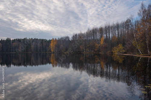 autumn landscape view of the autumn forest reflected in the lake with a blue evening sky with clouds