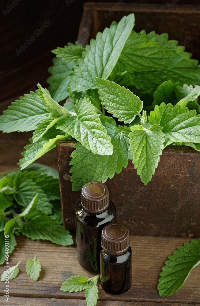 Bottles with lemon balm essential oil and tonic lotion for skin care on rustic wooden background, closeup, natural cosmetics and naturopathy concept