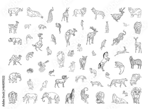 Collection of monochrome illustrations of animals in sketch style. Hand drawings in art ink style. Black and white graphics.